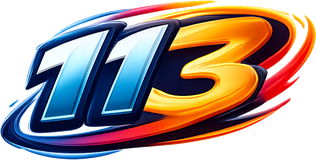 113